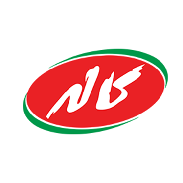 مشتری ۴